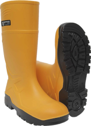 Imagen representativa de una categoría de productos.